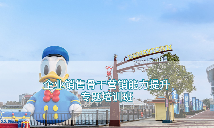 企业培训-企业销售骨干营销能力提升专题培训班