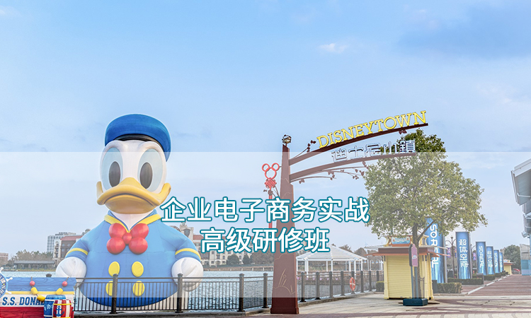 企业培训-企业电子商务实战高级研修班
