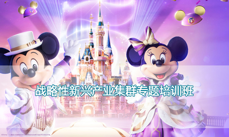 迪士尼培训中心-战略性新兴产业集群专题培训班